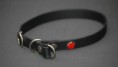 Biothane Zugstop Halsband